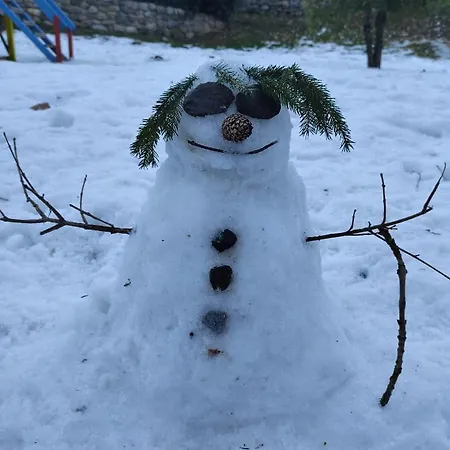 Lejlighed La Petite Rose Limone Piemonte