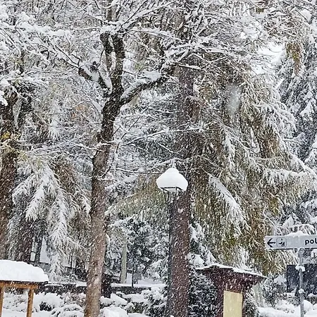 La Petite Rose Apartamento *