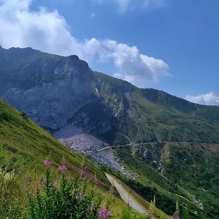 La Petite Rose * Limone Piemonte