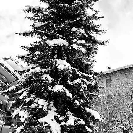 La Petite Rose Lejlighed