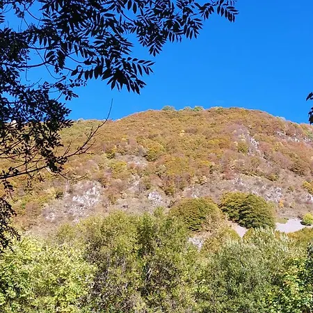 Apartamento La Petite Rose *