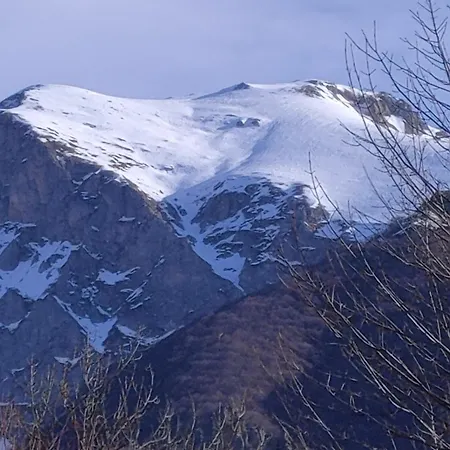 Appartement La Petite Rose *