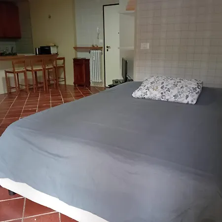 La Petite Rose Apartment *
