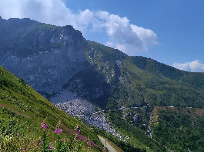 La Petite Rose * Limone Piemonte
