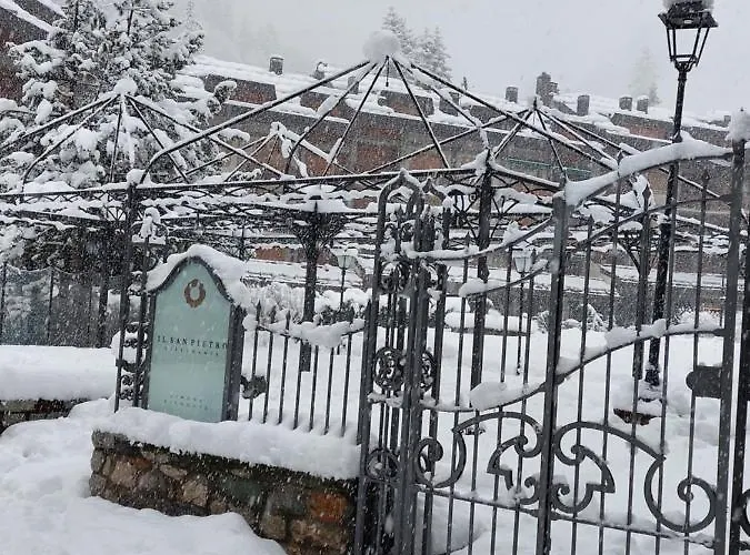 La Petite Rose * Limone Piemonte